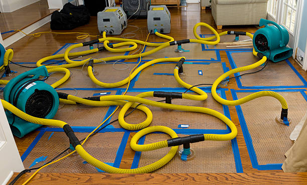 Professional Basement Flood Cleanup technician working in Marshall, MN
